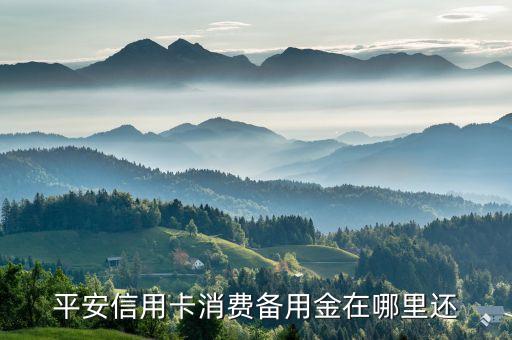 平安信用卡消費(fèi)備用金在哪里還