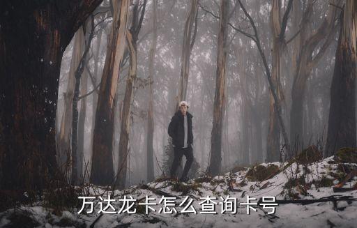 龍卡e付卡怎么查看卡號，萬達龍卡怎么查詢卡號