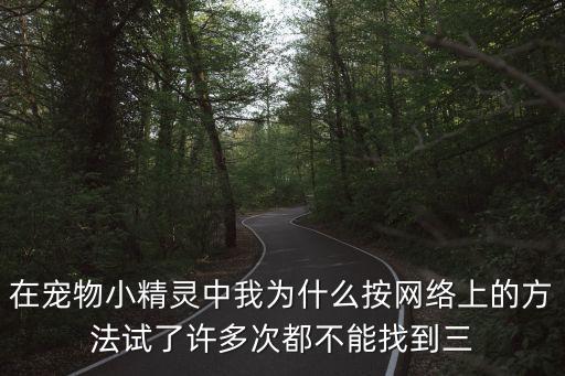 在寵物小精靈中我為什么按網(wǎng)絡(luò)上的方法試了許多次都不能找到三