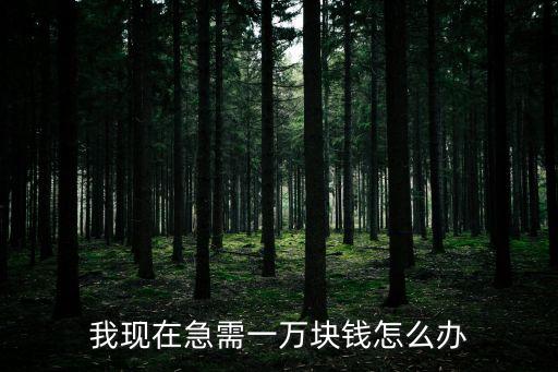 我現(xiàn)在急需一萬塊錢怎么辦