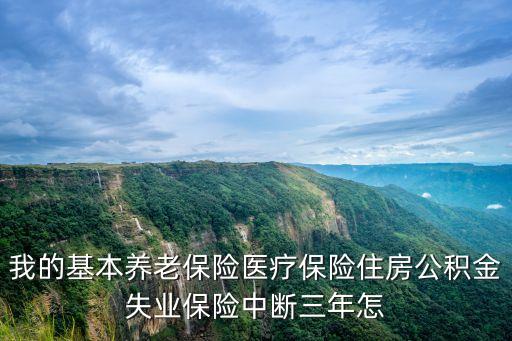 我的基本養(yǎng)老保險(xiǎn)醫(yī)療保險(xiǎn)住房公積金失業(yè)保險(xiǎn)中斷三年怎