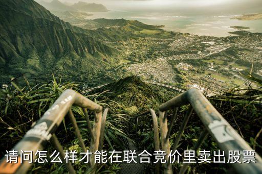 集合競價(jià)怎么賣股票，集合競價(jià)期間是怎么買賣股票的啊