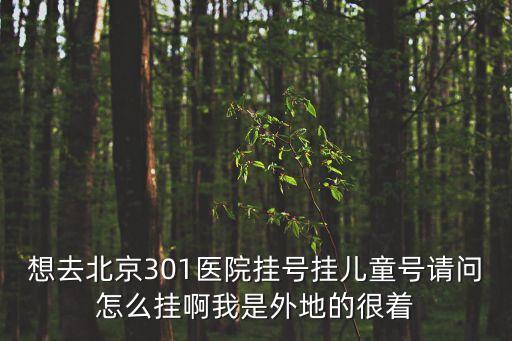 想去北京301醫(yī)院掛號掛兒童號請問怎么掛啊我是外地的很著