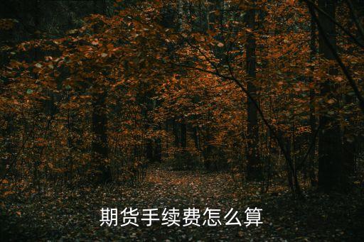 期貨手續(xù)費怎么算