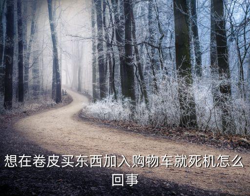 打開購(gòu)物車就卡怎么回事，為什么我的電腦打開購(gòu)物車就是頁(yè)面奔潰啊