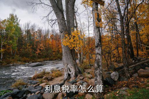利息稅率怎么算