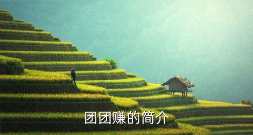 團(tuán)團(tuán)賺的簡(jiǎn)介