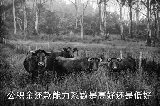 還貸能力系數(shù)怎么確定，公積金還款能力系數(shù)是高好還是低好