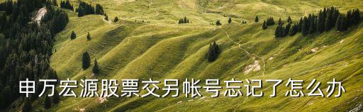 申萬(wàn)宏源資金賬號(hào)忘記了怎么辦，申萬(wàn)宏源手機(jī)版炒股軟件忘記賬號(hào)怎么辦