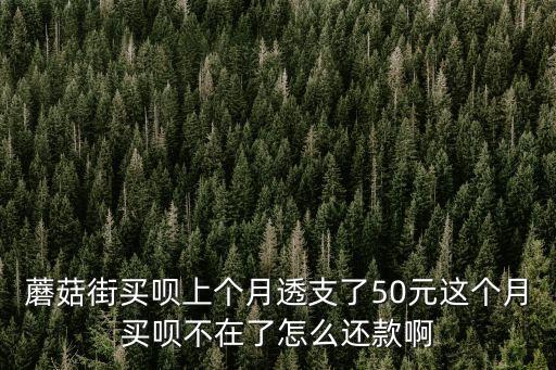 蘑菇街買唄上個月透支了50元這個月買唄不在了怎么還款啊