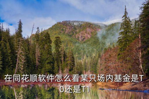 同花順 怎么看基金，同花順如何查基金價(jià)格