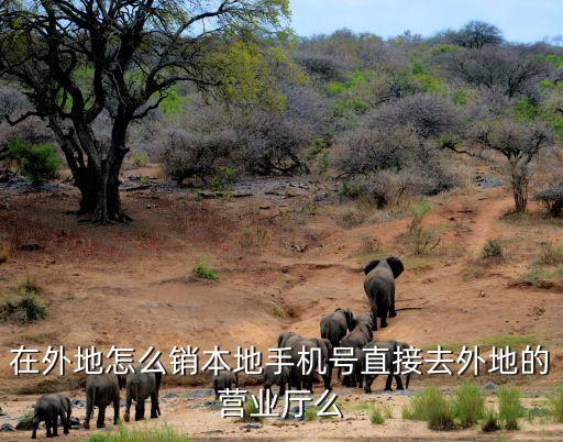 在外地怎么銷本地手機(jī)號(hào)直接去外地的營(yíng)業(yè)廳么