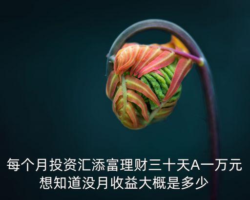 每個月投資匯添富理財三十天A一萬元想知道沒月收益大概是多少