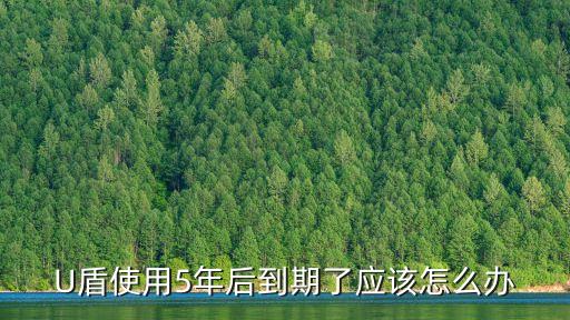 U盾使用5年后到期了應(yīng)該怎么辦