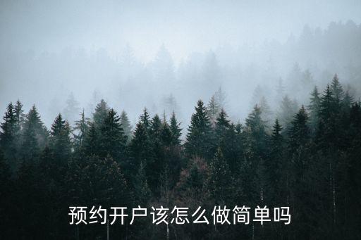 民生銀行開戶怎么預(yù)約，關(guān)于民生銀行網(wǎng)上開戶