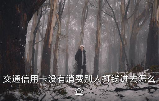 交通信用卡沒有消費別人打錢進(jìn)去怎么查