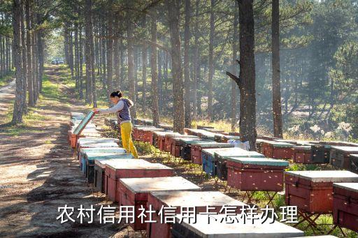 農村信用社信用卡怎樣辦理