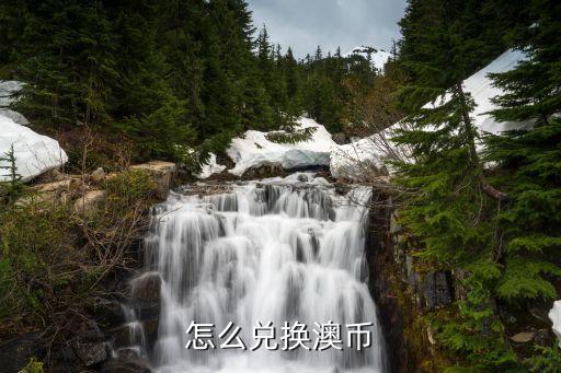 怎么兌換澳元，有點美元如何換成澳元