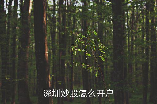 怎么開(kāi)深圳證券帳戶，深圳炒股怎么開(kāi)戶