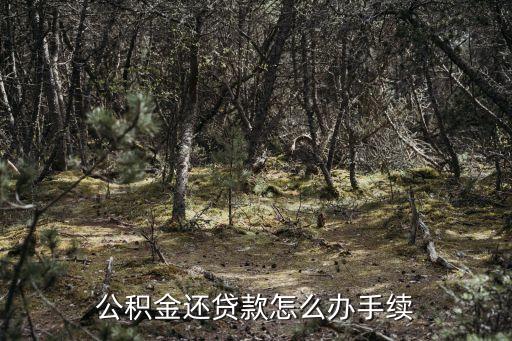 公積金怎么還房貸手續(xù)，公積金還貸款怎么辦手續(xù)
