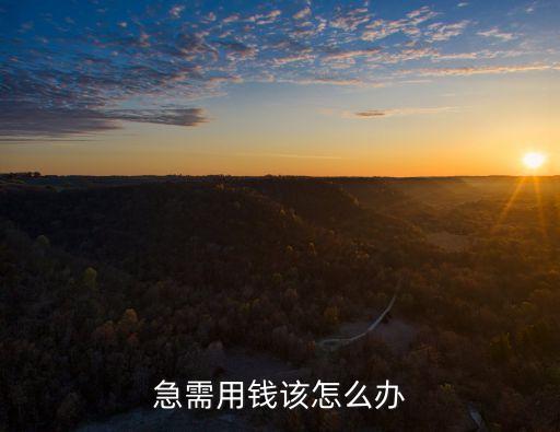 急需用錢該怎么辦