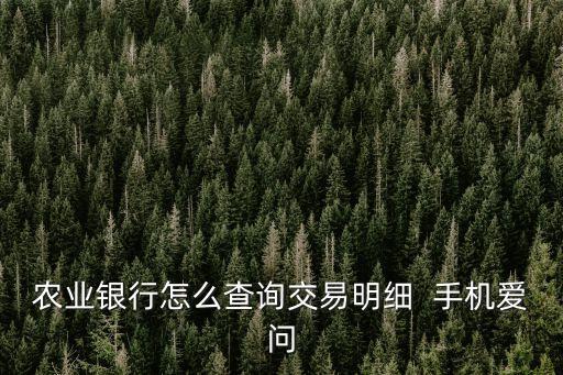農(nóng)業(yè)銀行怎么查詢交易明細(xì)  手機(jī)愛問