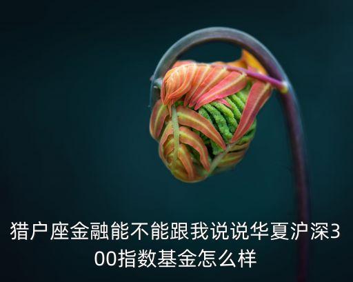 獵戶座金融能不能跟我說說華夏滬深300指數(shù)基金怎么樣