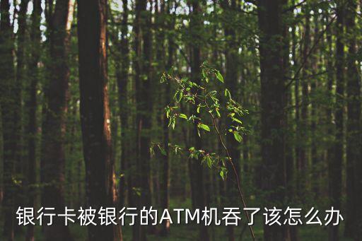 銀行卡被銀行的ATM機吞了該怎么辦
