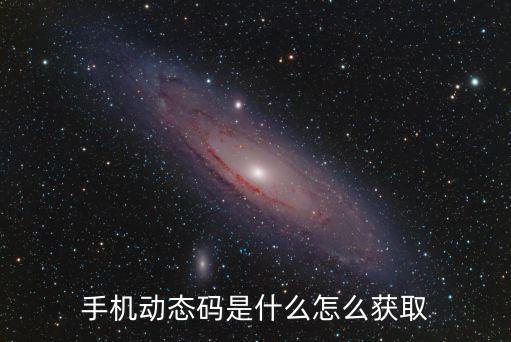 手機(jī)動態(tài)碼是什么怎么獲取