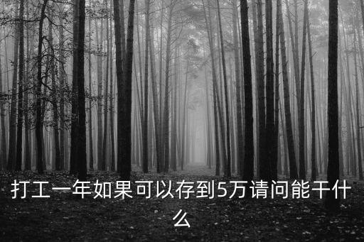 打工一年如果可以存到5萬(wàn)請(qǐng)問(wèn)能干什么