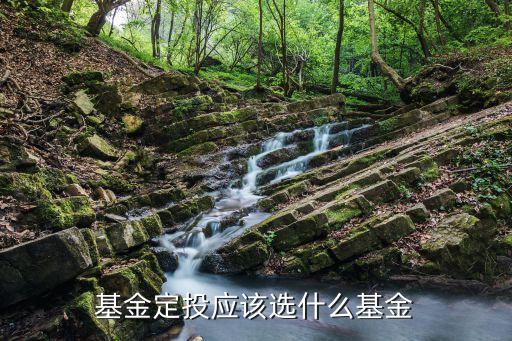 基金定投應(yīng)該選什么基金