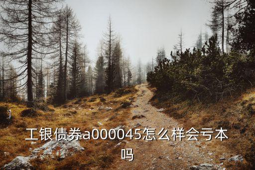 工銀債券a000045怎么樣會(huì)虧本嗎