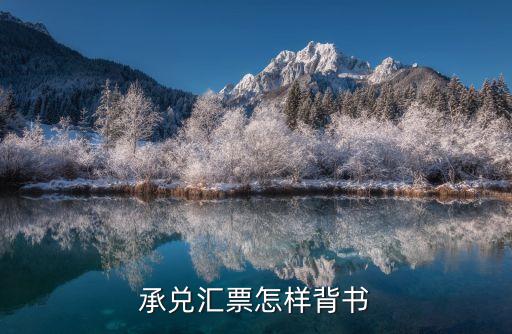 承兌匯票怎樣背書