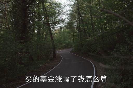 基金年度漲幅怎么算，買的基金漲幅了錢怎么算
