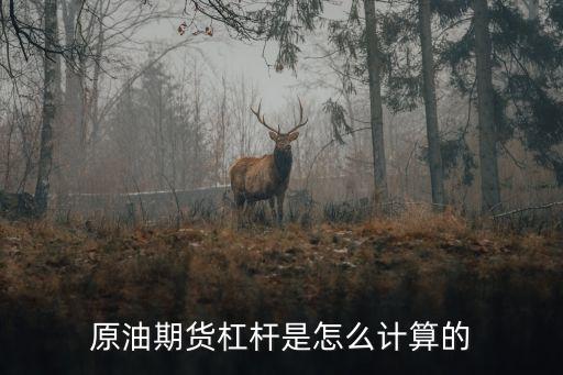 期貨杠桿虧損怎么計(jì)算，期貨杠桿率怎么計(jì)算的
