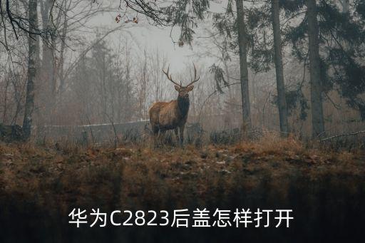 華夏823后殼怎么開，華為C2823后蓋怎樣打開