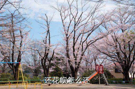 用花唄怎么還款，我用了花唄怎么還進去