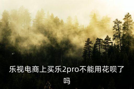 樂(lè)視電商上買(mǎi)樂(lè)2pro不能用花唄了嗎