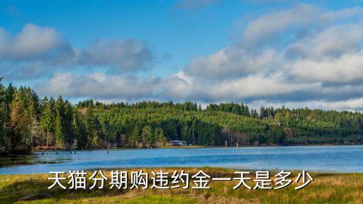 天貓分期購違約金一天是多少