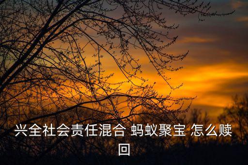 興全社會(huì)責(zé)任混合 螞蟻聚寶 怎么贖回