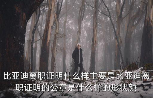 比亞迪離職證明什么樣主要是比亞迪離職證明的公章是什么樣的形狀顏