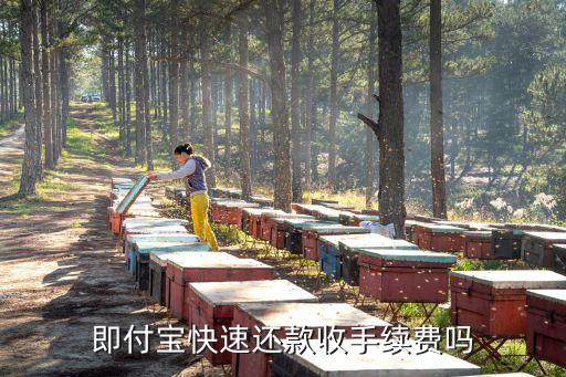 即付寶快速還款收手續(xù)費嗎