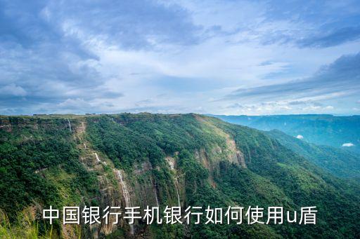 銀行音頻Key怎么使用，銀行的KEY寶怎么用