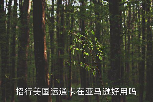 美國(guó)運(yùn)通卡怎么樣，招行美國(guó)運(yùn)通卡在亞馬遜好用嗎
