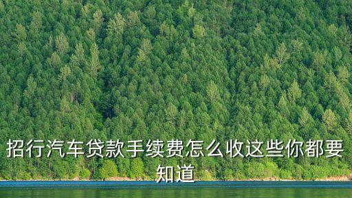 招商的汽車分期手續(xù)費(fèi)怎么算，汽車分期付款怎么算