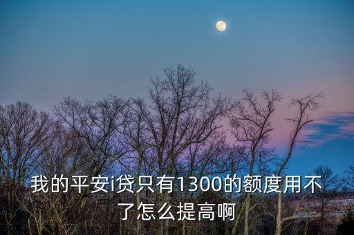 我的平安i貸只有1300的額度用不了怎么提高啊