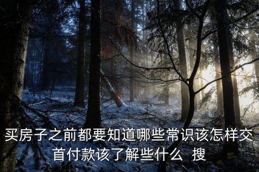 首付怎么交，房子首付是怎么付的