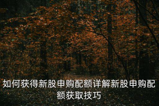 如何獲得新股申購配額詳解新股申購配額獲取技巧