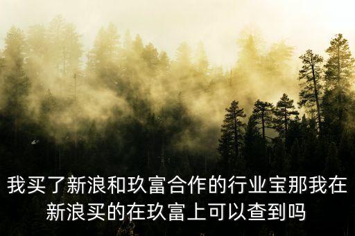 我買(mǎi)了新浪和玖富合作的行業(yè)寶那我在新浪買(mǎi)的在玖富上可以查到嗎