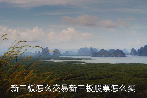 新三板個人投資者怎么買賣，新三板怎么交易新三板股票怎么買